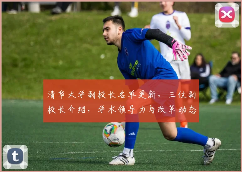 清华大学副校长名单更新，三位副校长介绍，学术领导力与改革动态，权威发布