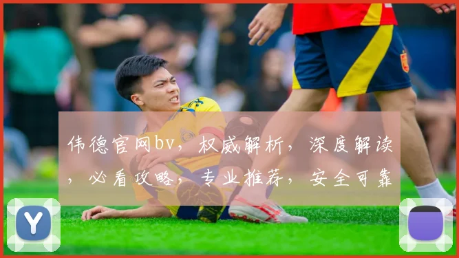 伟德官网bv，权威解析，深度解读，必看攻略，专业推荐，安全可靠
