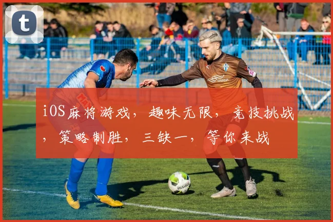 iOS麻将游戏，趣味无限，竞技挑战，策略制胜，三缺一，等你来战