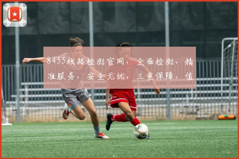 8455线路检测官网，全面检测，精准服务，安全无忧，三重保障，值得信赖