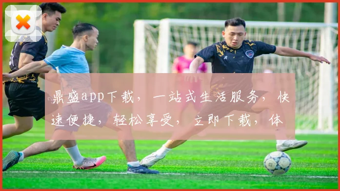 鼎盛app下载，一站式生活服务，快速便捷，轻松享受，立即下载，体验非凡